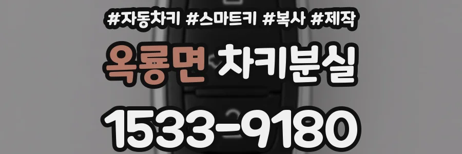 옥룡면 차키분실