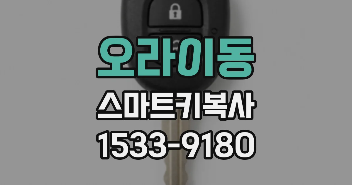 오라이동 스마트키복사