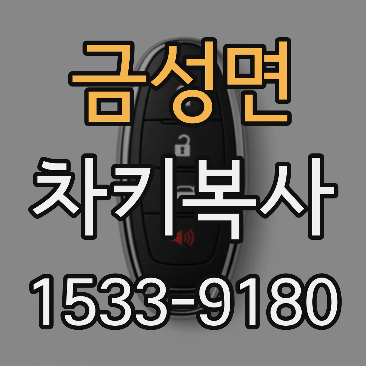 금성면 차키복사