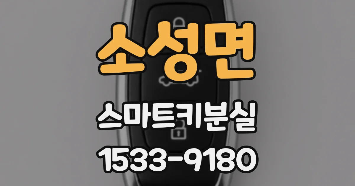 소성면 스마트키분실