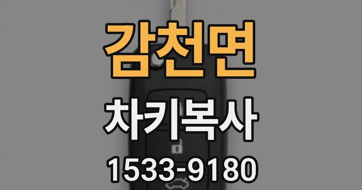 감천면 차키복사