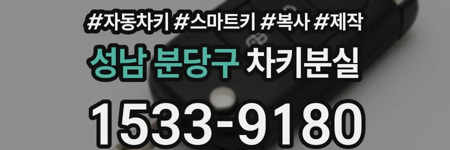 성남 분당구 차키분실