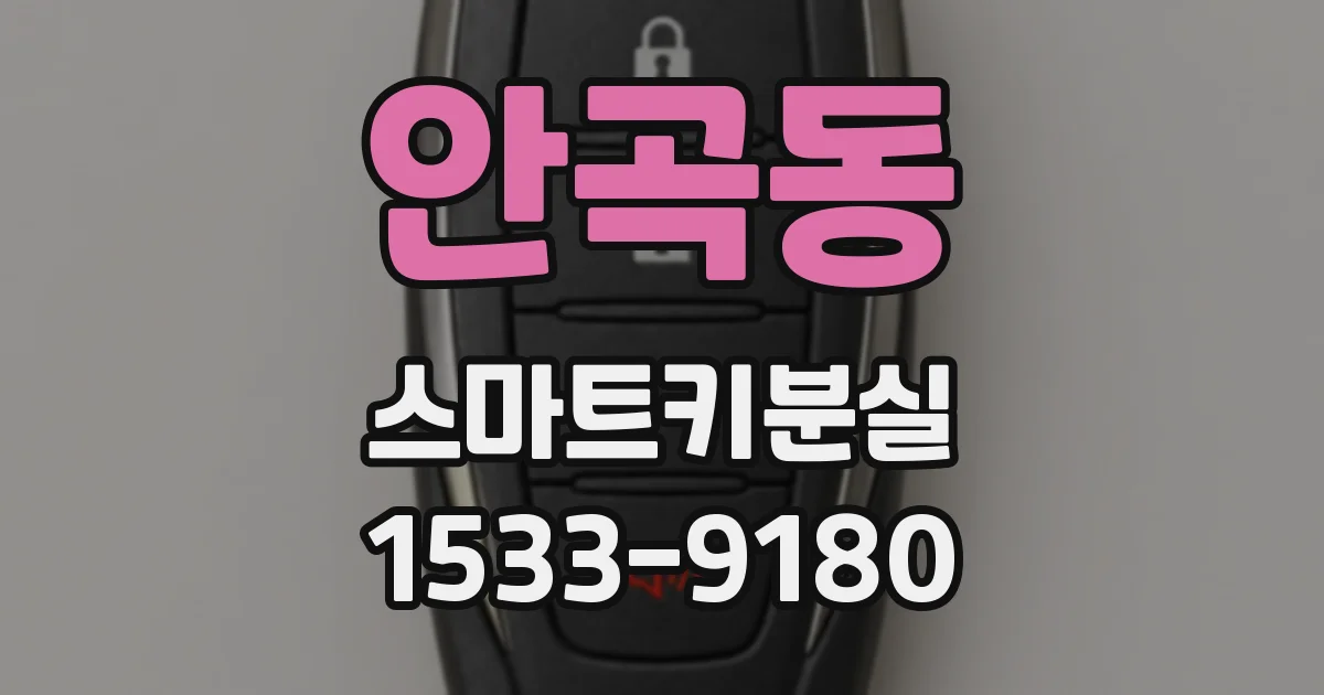 안곡동 스마트키분실