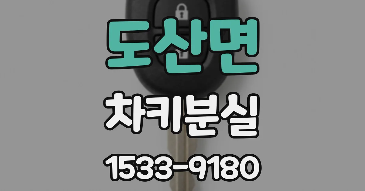 도산면 차키분실