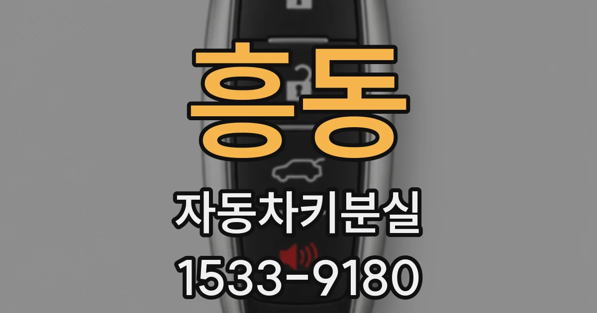 흥동 자동차키분실