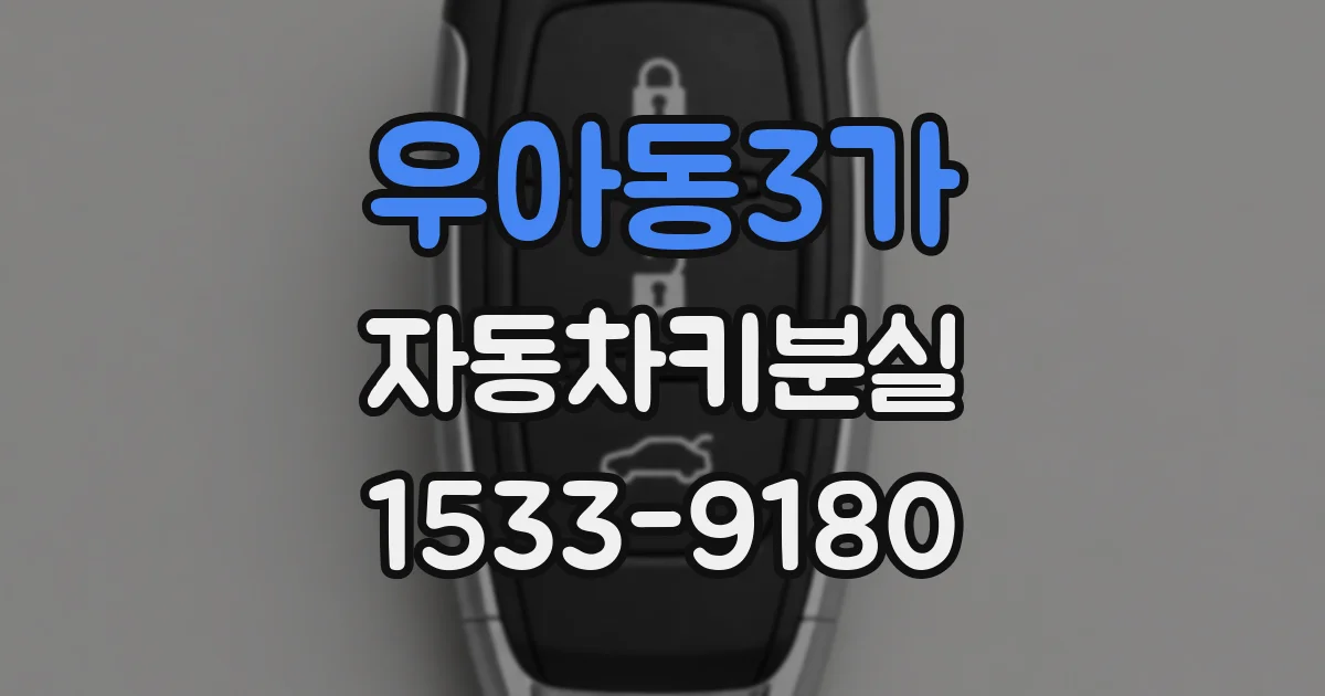 우아동3가 자동차키분실