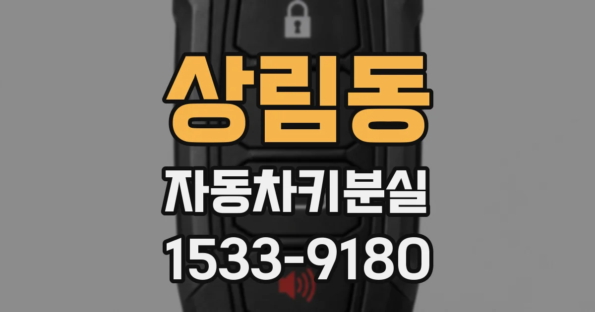 상림동 자동차키분실