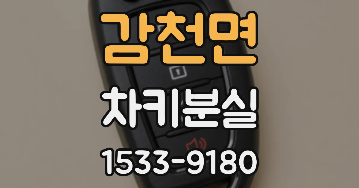 감천면 차키분실