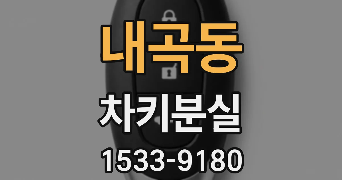 내곡동 차키분실