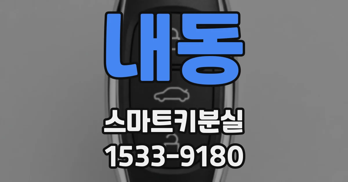 내동 스마트키분실