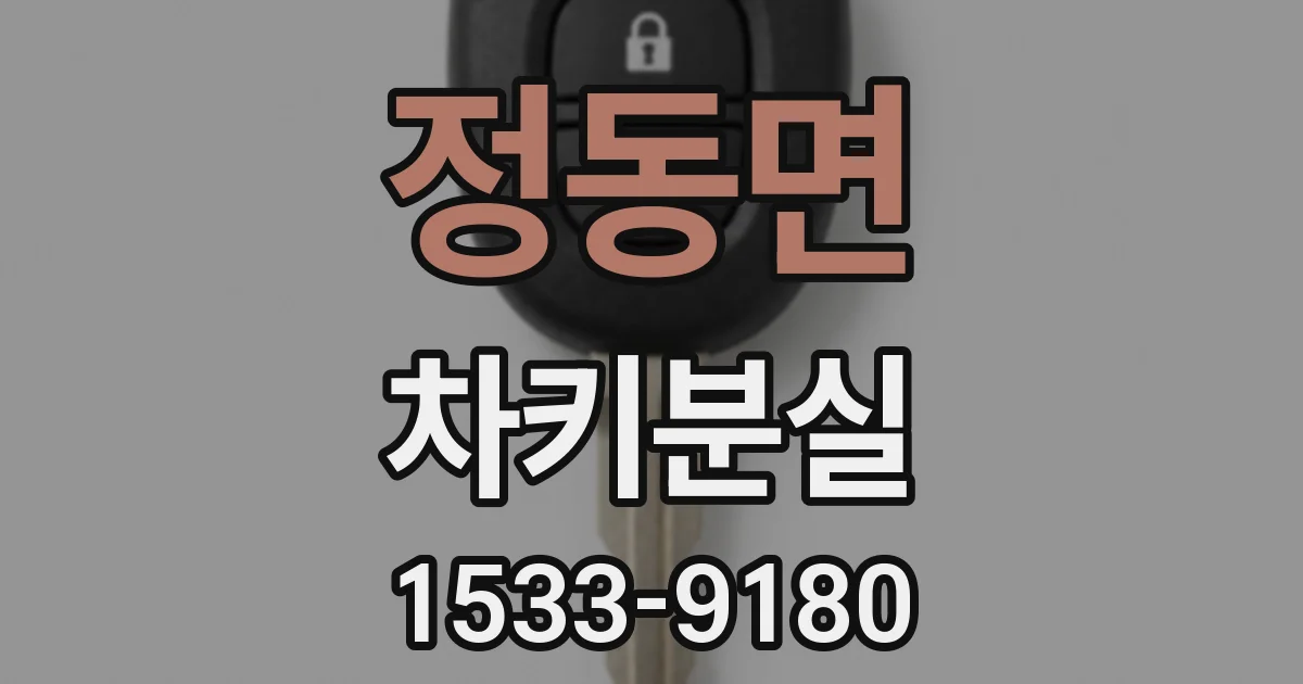 정동면 차키분실