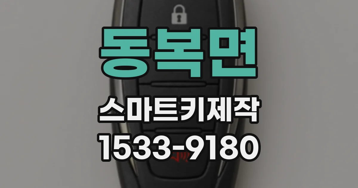 동복면 스마트키제작