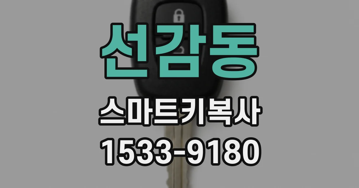 선감동 스마트키복사