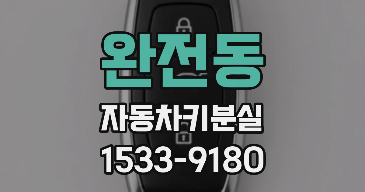 완전동 자동차키분실