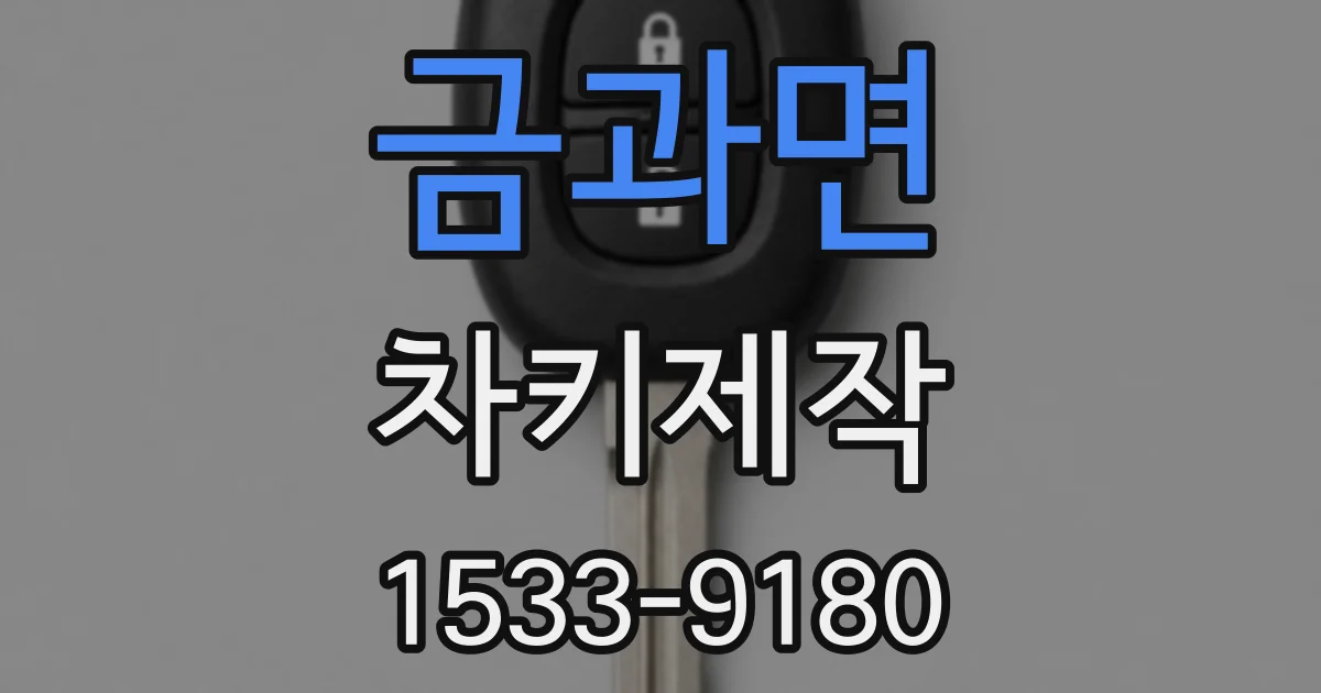 금과면 차키제작