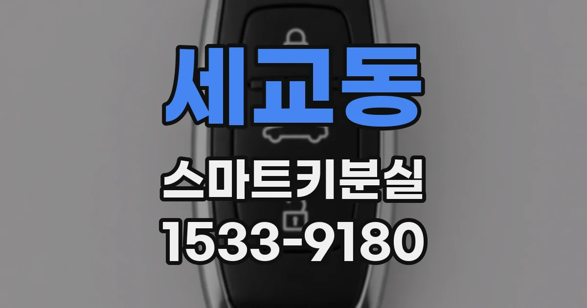 세교동 스마트키분실