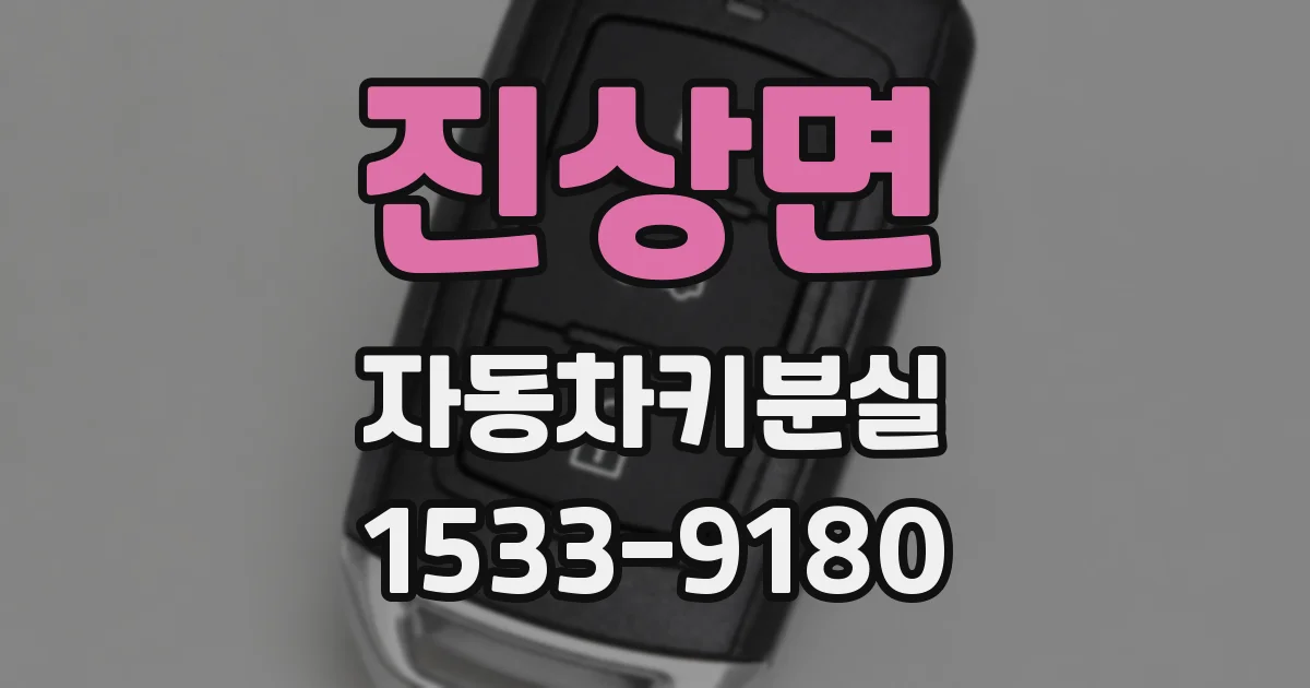 진상면 자동차키분실