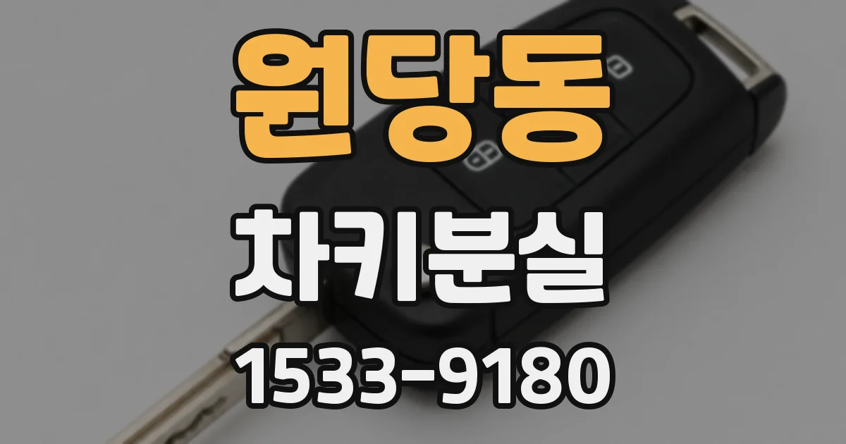 원당동 차키분실