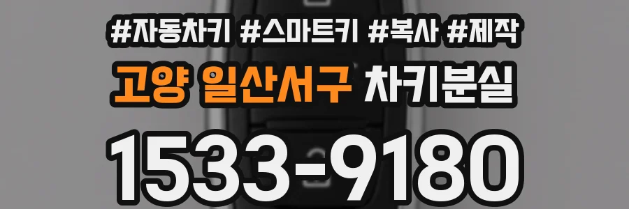 고양 일산서구 차키분실