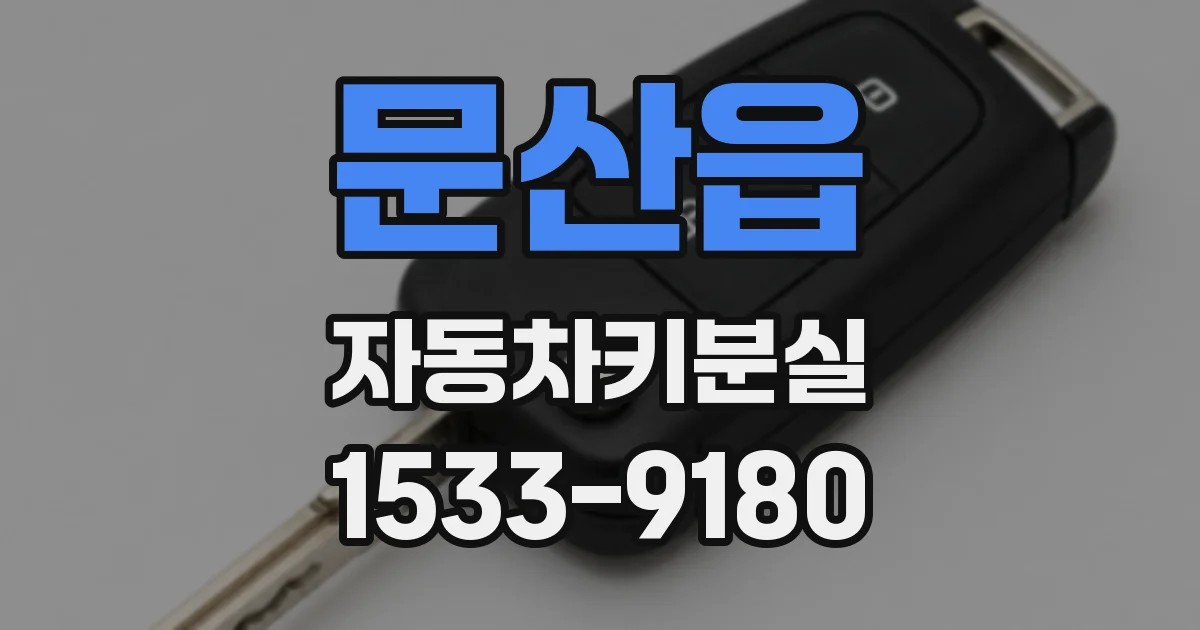 문산읍 자동차키분실