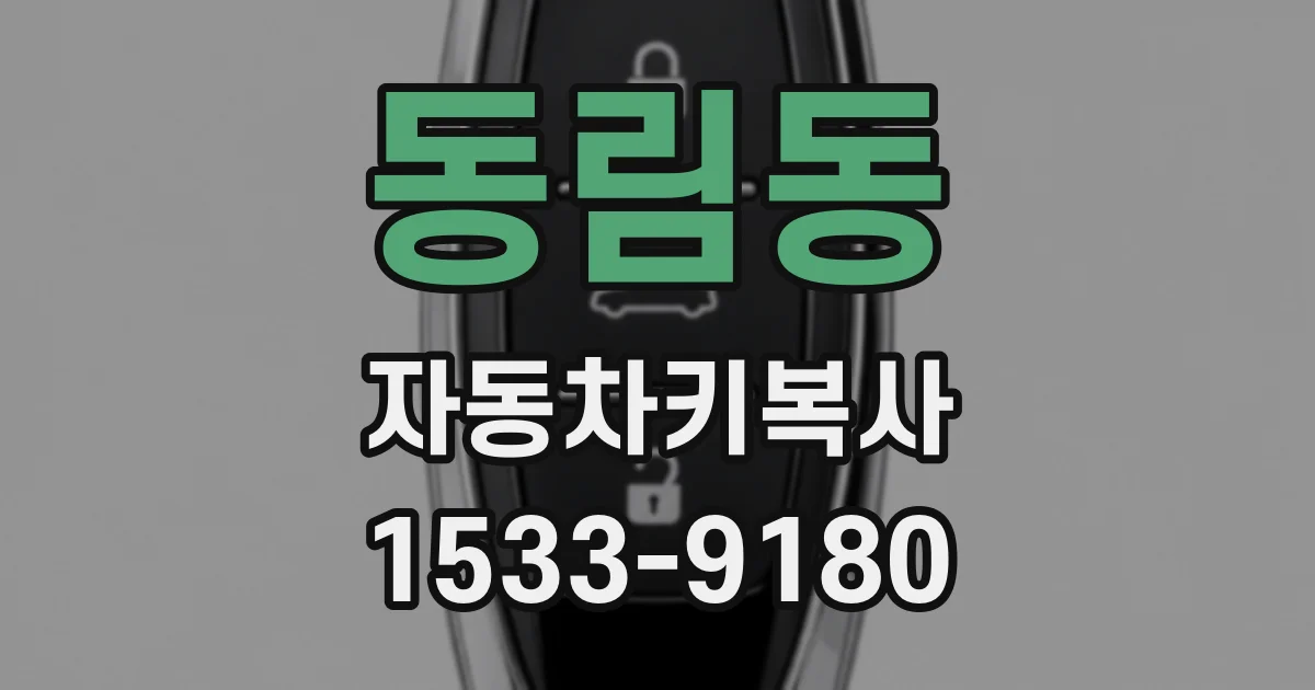 동림동 자동차키복사