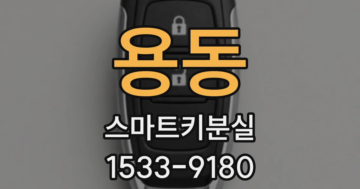 용동 스마트키분실