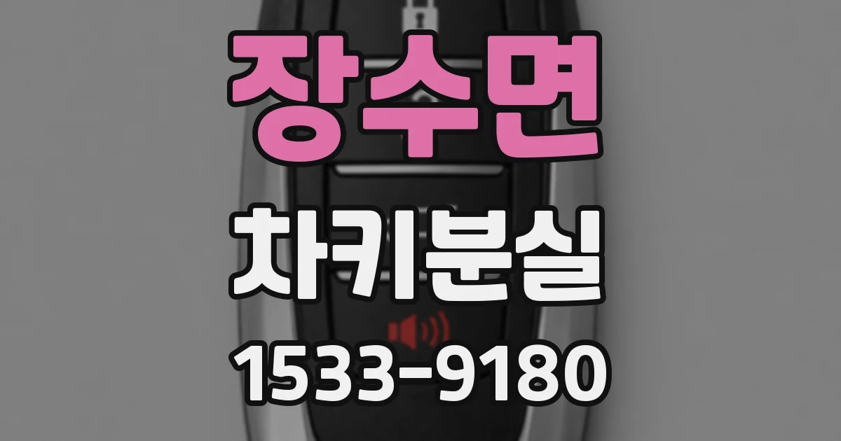 장수면 차키분실