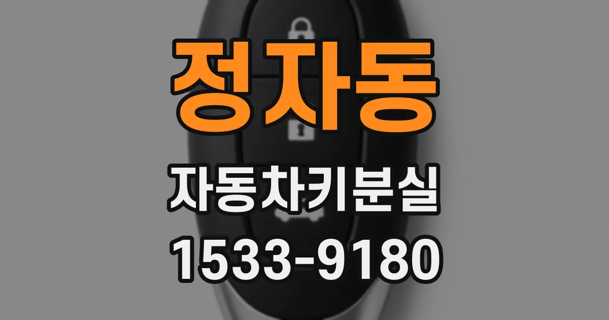 정자동 자동차키분실