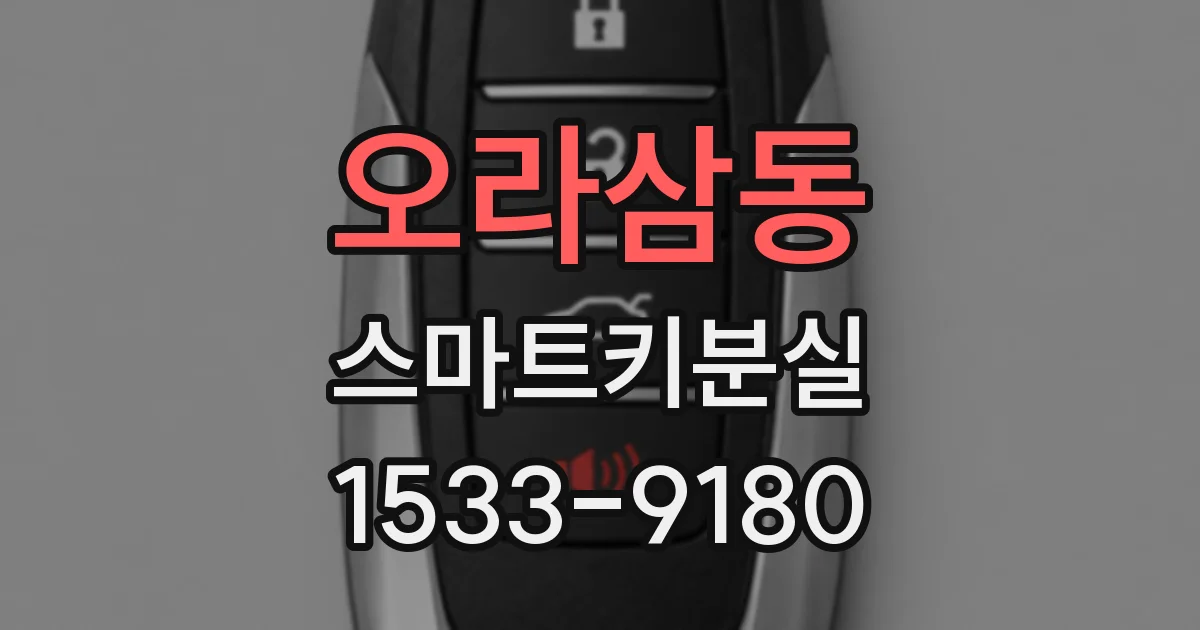 오라삼동 스마트키분실