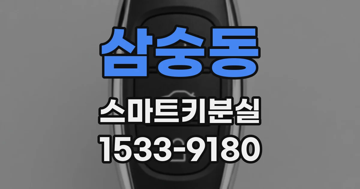 삼숭동 스마트키분실