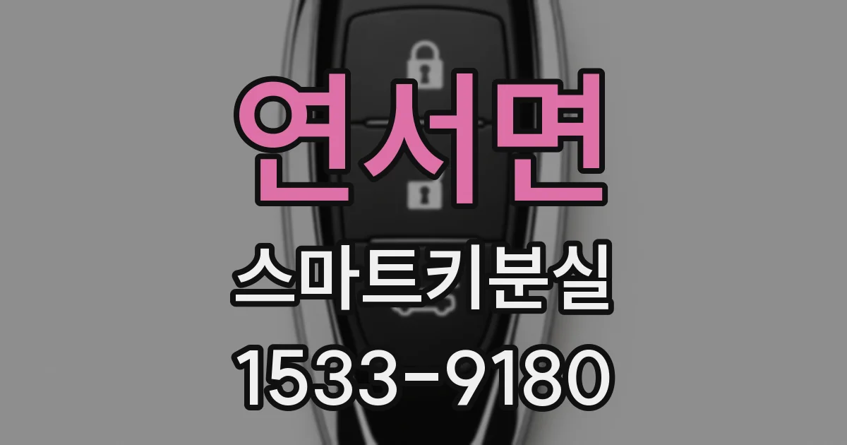 연서면 스마트키분실