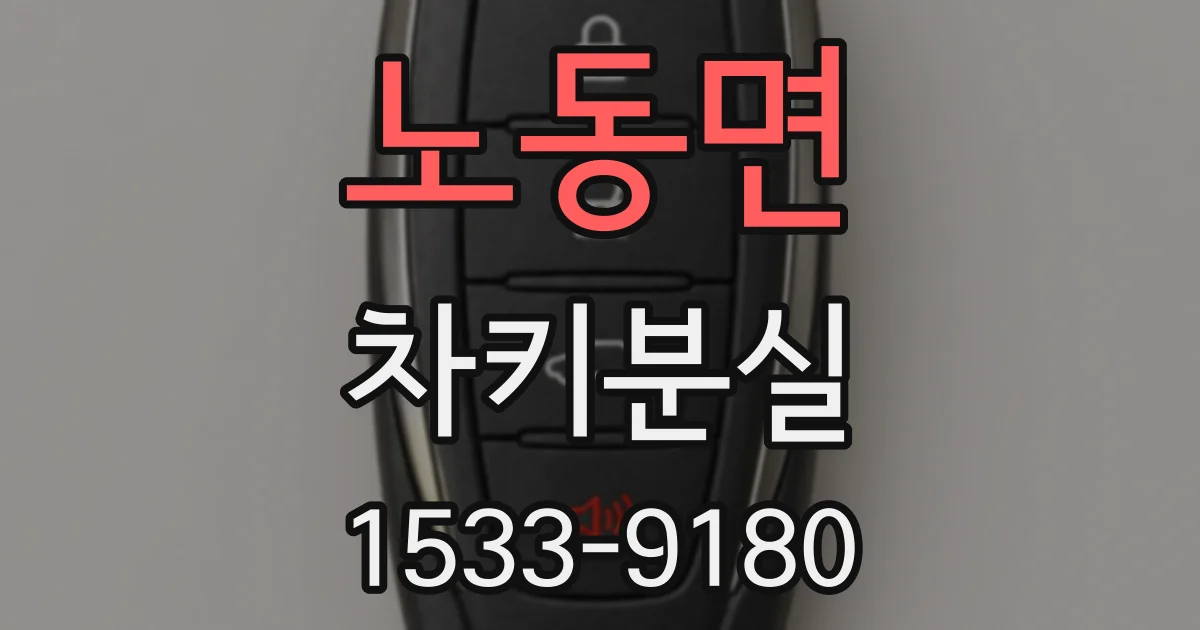 노동면 차키분실