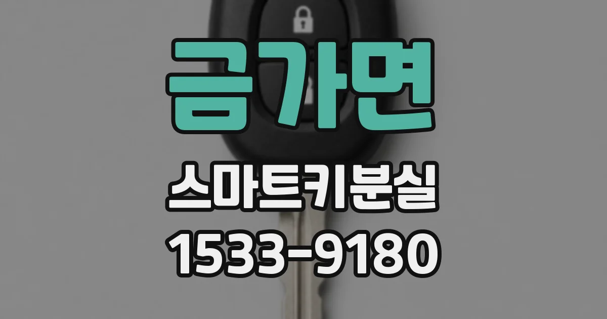 금가면 스마트키분실