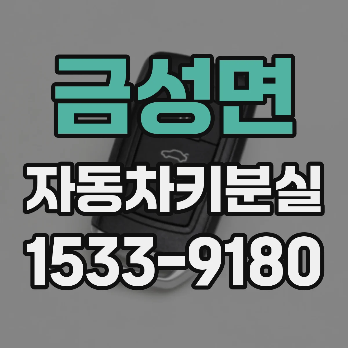 금성면 자동차키분실