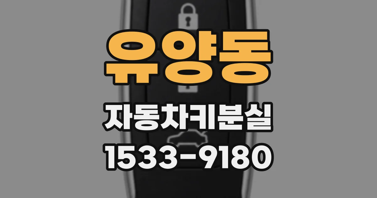 유양동 자동차키분실