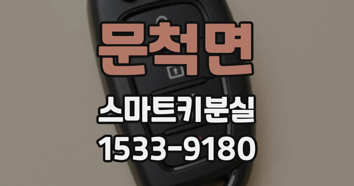 문척면 스마트키분실
