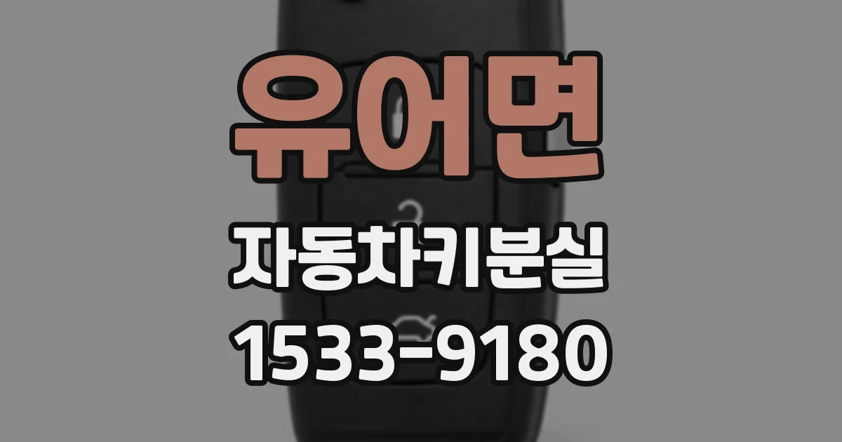 유어면 자동차키분실