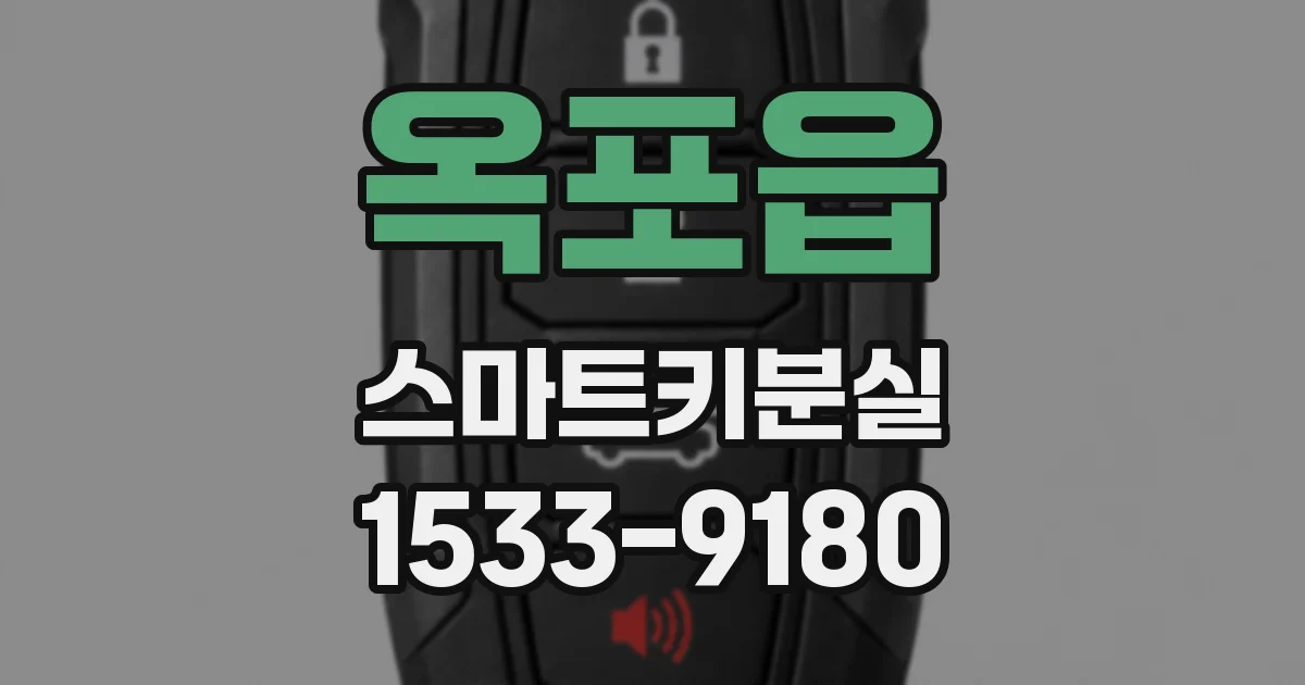 옥포읍 스마트키분실