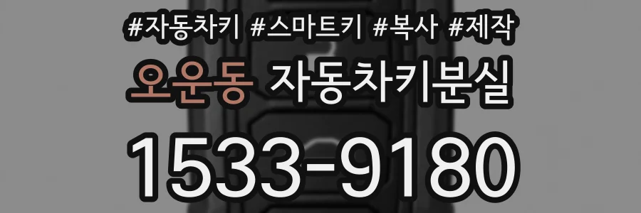 오운동 자동차키분실