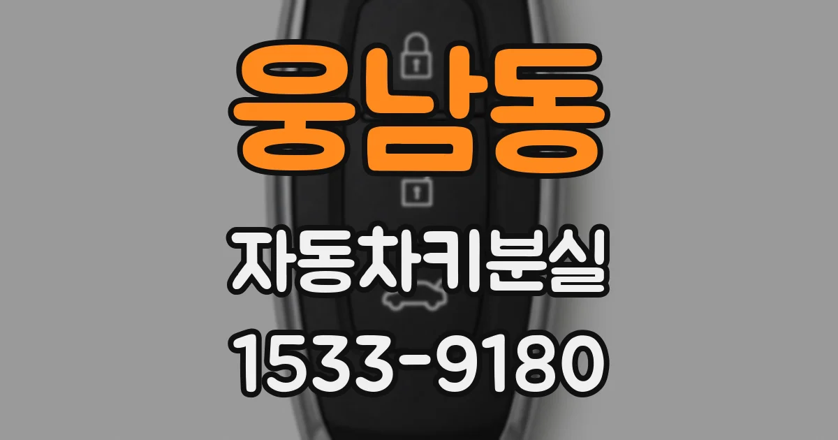 웅남동 자동차키분실