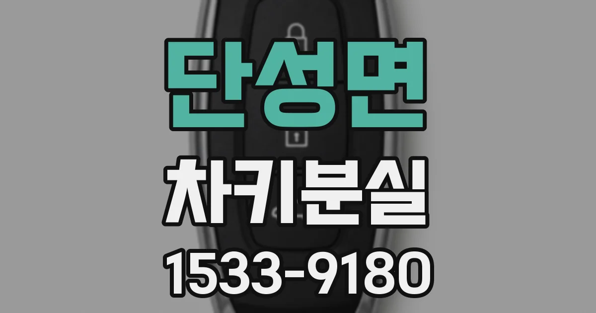 단성면 차키분실