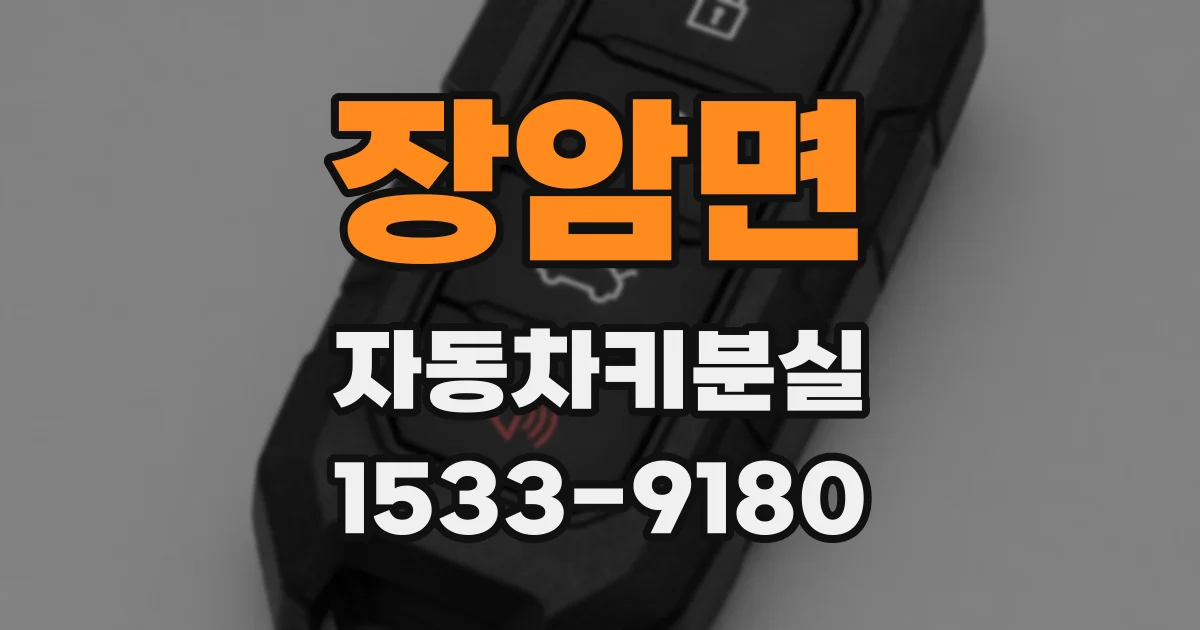 장암면 자동차키분실