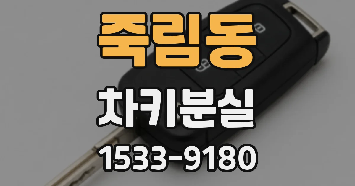 죽림동 차키분실