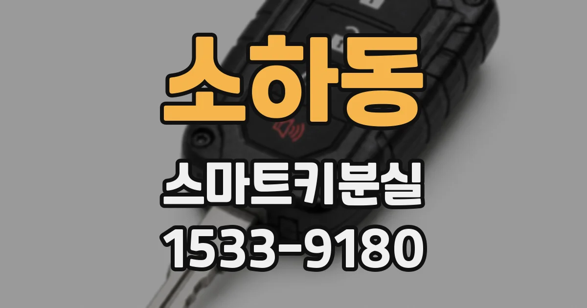 소하동 스마트키분실