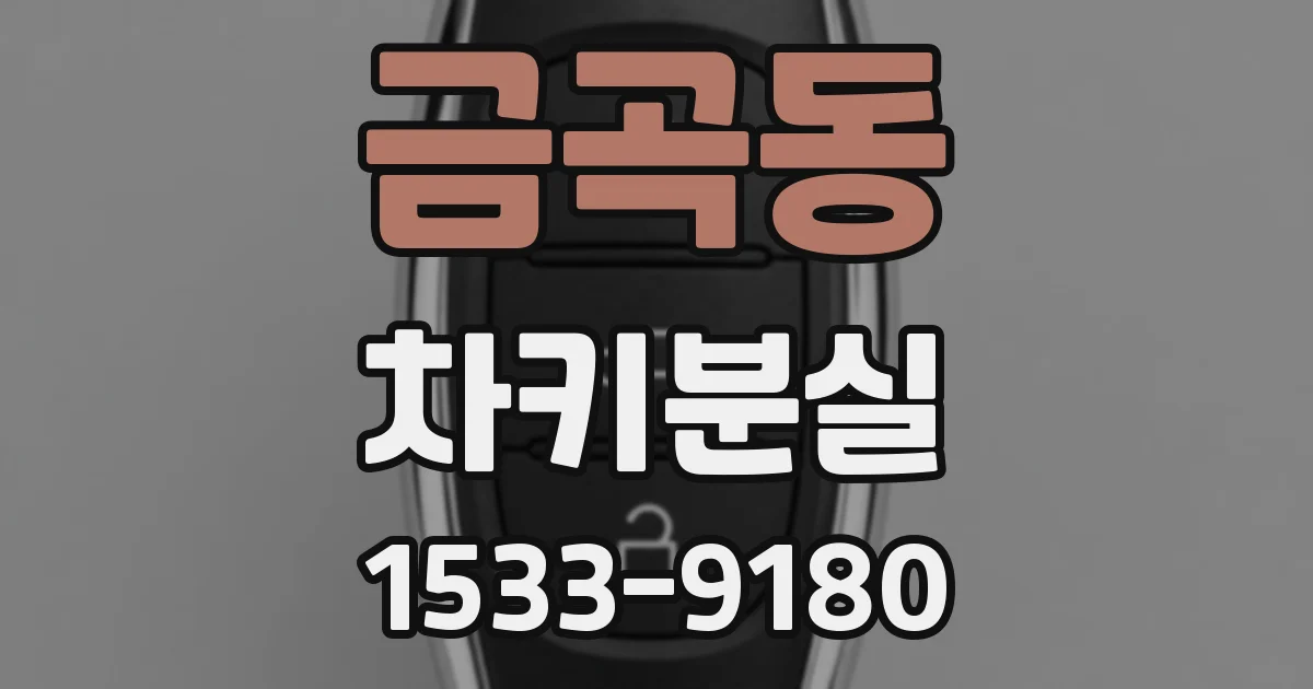 금곡동 차키분실