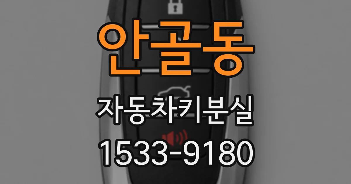 안골동 자동차키분실