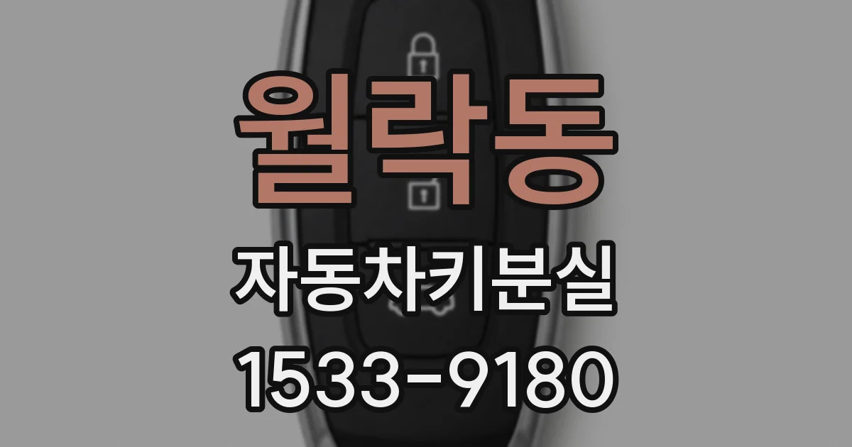 월락동 자동차키분실