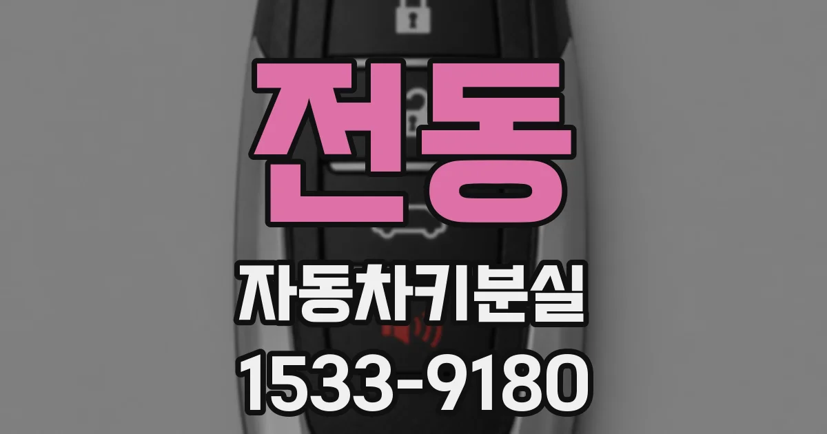 전동 자동차키분실