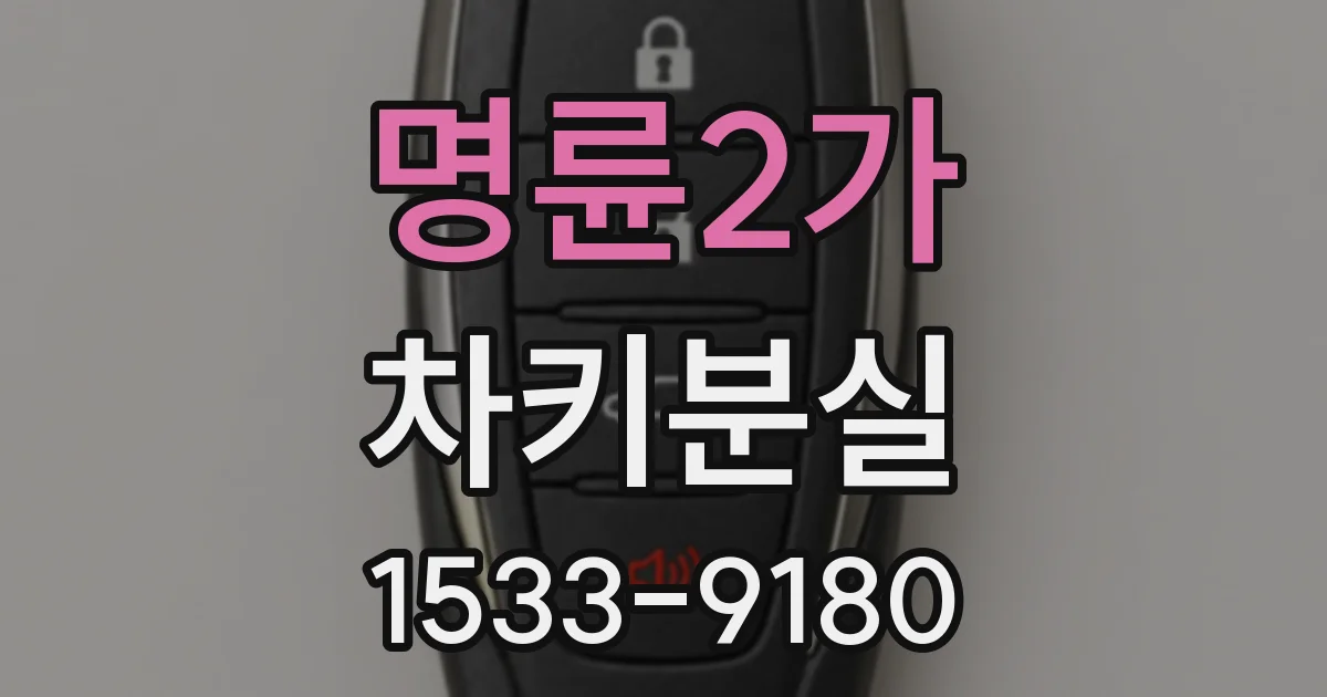 명륜2가 차키분실