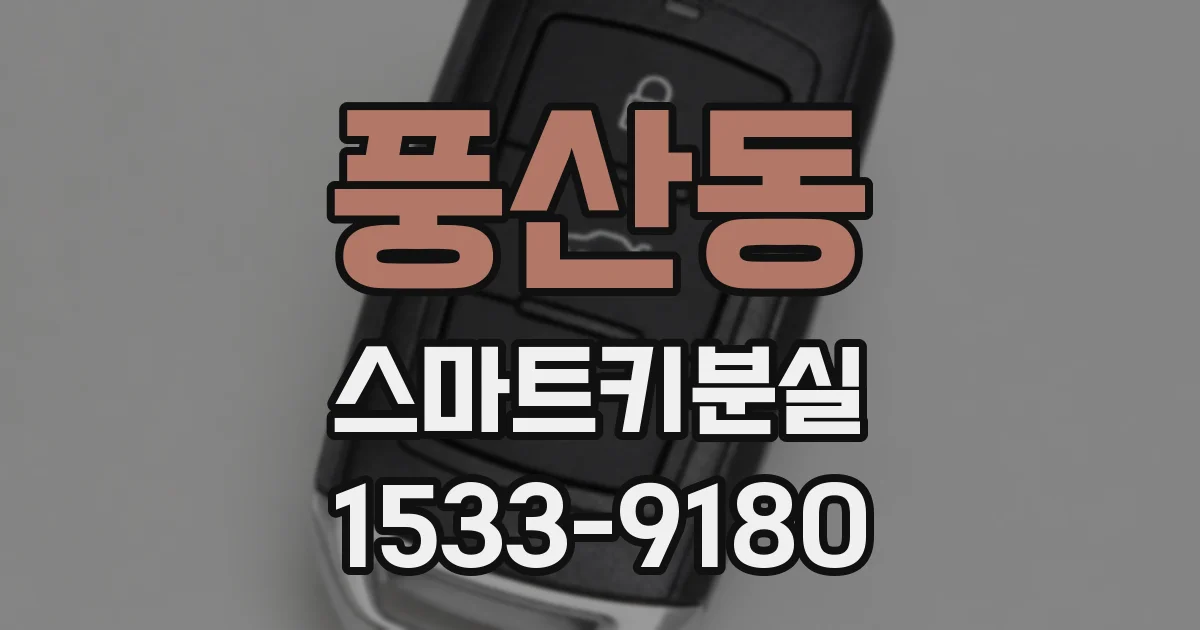 풍산동 스마트키분실